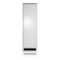 Schallgedämmter Serverschrank SILENCE RACK - 42 HE - 4 SILENT-Lüfter - 600 x 1.000 mm - Sichttür - Vollblechtür - lichtgrau
