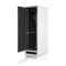 Schallgedämmter Serverschrank SILENCE RACK - 42 HE - 4 SILENT-Lüfter - 600 x 1.000 mm - Sichttür - Vollblechtür - lichtgrau