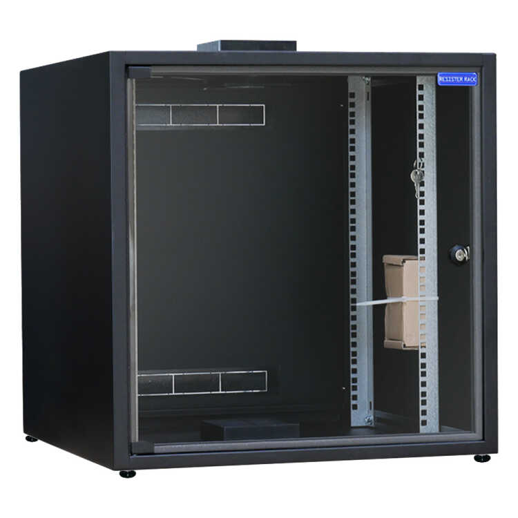 19"-Schrank RESISTER - erhöhter Staubschutz - 12 HE - Glastür - BxT 600x600mm - schwarz