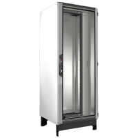 19"-Serverschrank VX IT mit 19"-Schwenkrahmen von RITTAL - 40 HE - B H T 800 x 2000 x 800 mm - Sichttür, vorne - Seitenwände, einteilig verschraubbar - Rückwand einteilig, hinten - inkl. Sockel - Stahlblech - lichtgrau - vormontiert