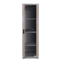 19"-Serverschrank SRK von IT-BUDGET - Komplettset - 42 HE - BxT 600x1000 mm - Sicht-/Vollblechtür - 4 Aktiv-Lüfter - Flatpack - lichtgrau