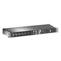 RITTAL PDU/Steckdosenleiste - switched - 32A - 1-phasig - Anschlüsse: CEE 4 x C13 + 2 x C19