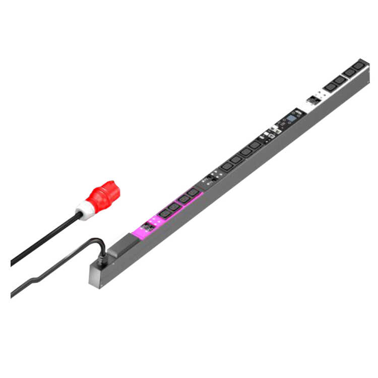 RITTAL PDU/Steckdosenleiste - switched - 32A - 3-phasig - Anschlüsse: CEE 12 x C19