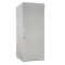 Schallgedämmter 19"-Serverschrank VX IT Rack RITTAL - bis 85% silenced - 42 HE - BxT 800x1.200 mm - Sicht-/Vollblechtür - lichtgrau