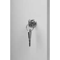 19"-Wandverteiler TAUNUS von IT-BUDGET - 9 HE - 450 mm Tiefe - Vollblechtür - Schloss - lichtgrau