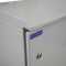 19"-Netzwerkschrank RESISTER Pro mit Regendach - IP66 für Outdoor + Industrie - Sichttür - 9 HE - 600x400 mm - lichtgrau